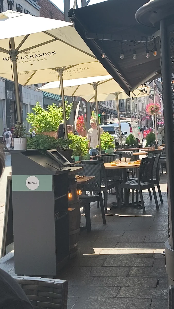 Vibe, Bistro Hortus