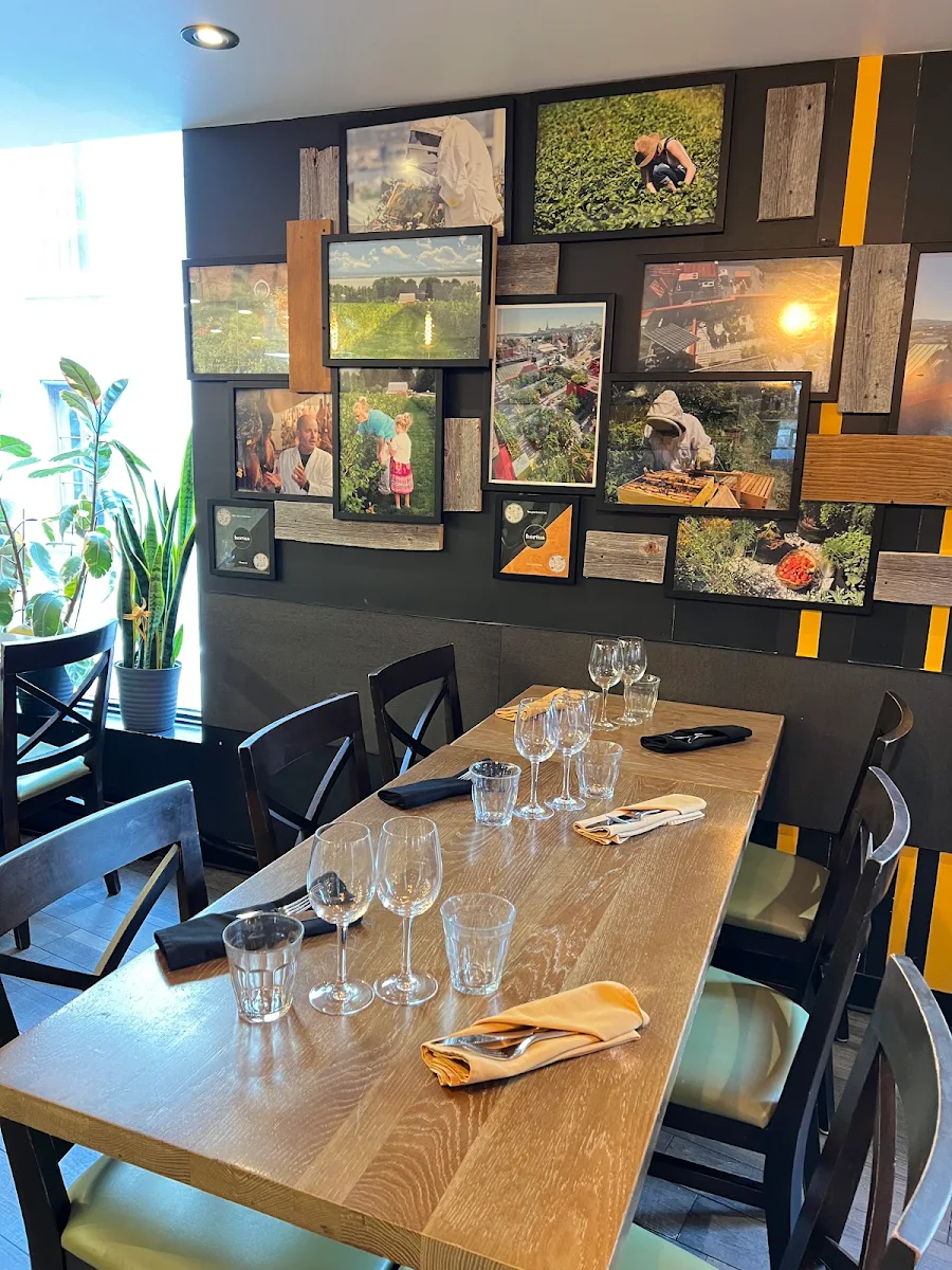 Vibe, Bistro Hortus