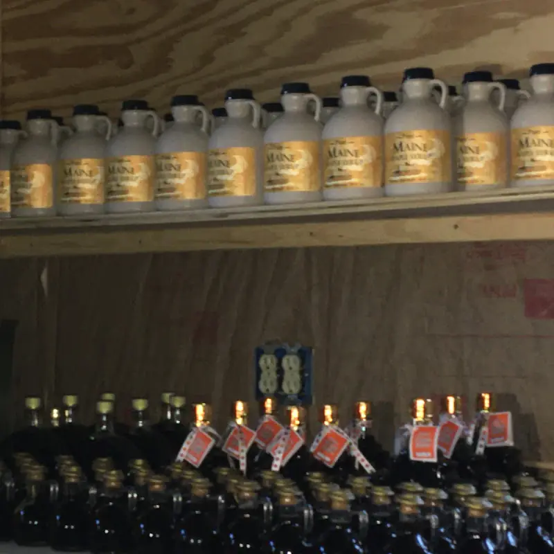 Treehouse Brand Maple