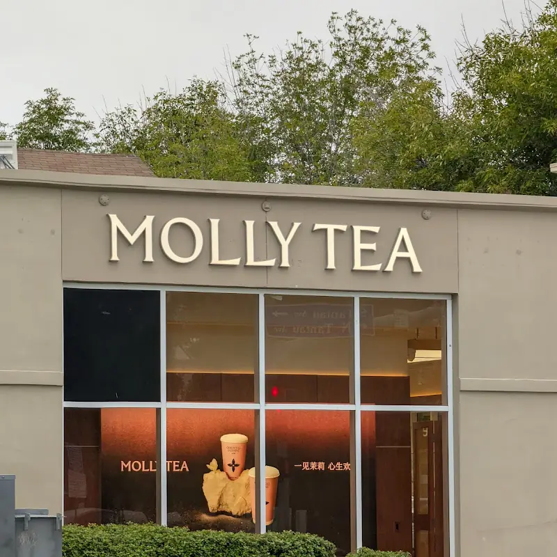 Molly Tea Global Series Refrigerator Magnets