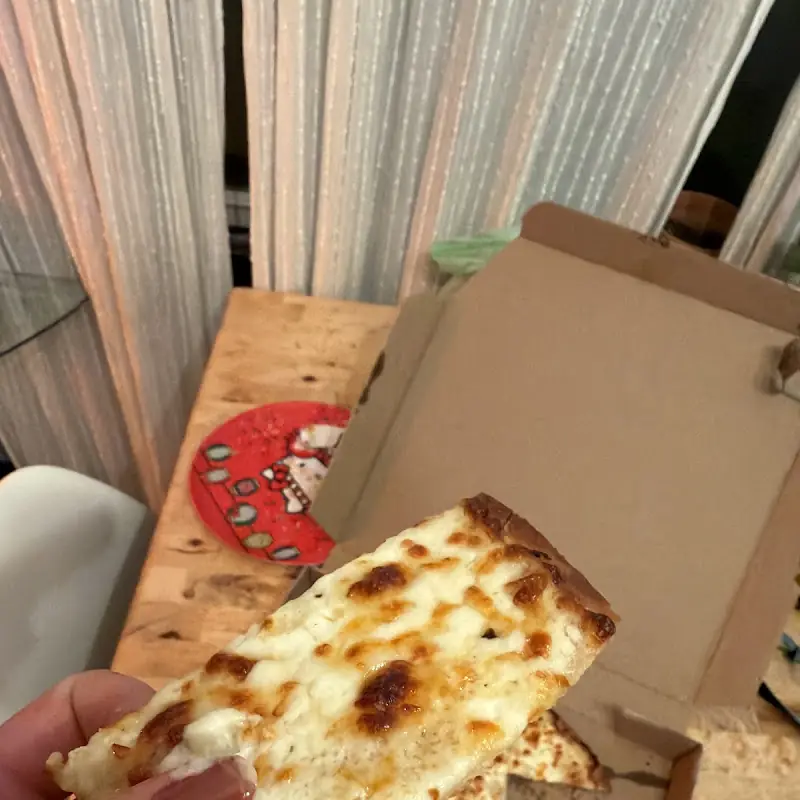 Dominos Pizza