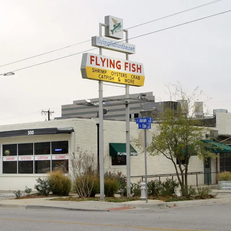 Flying Fish