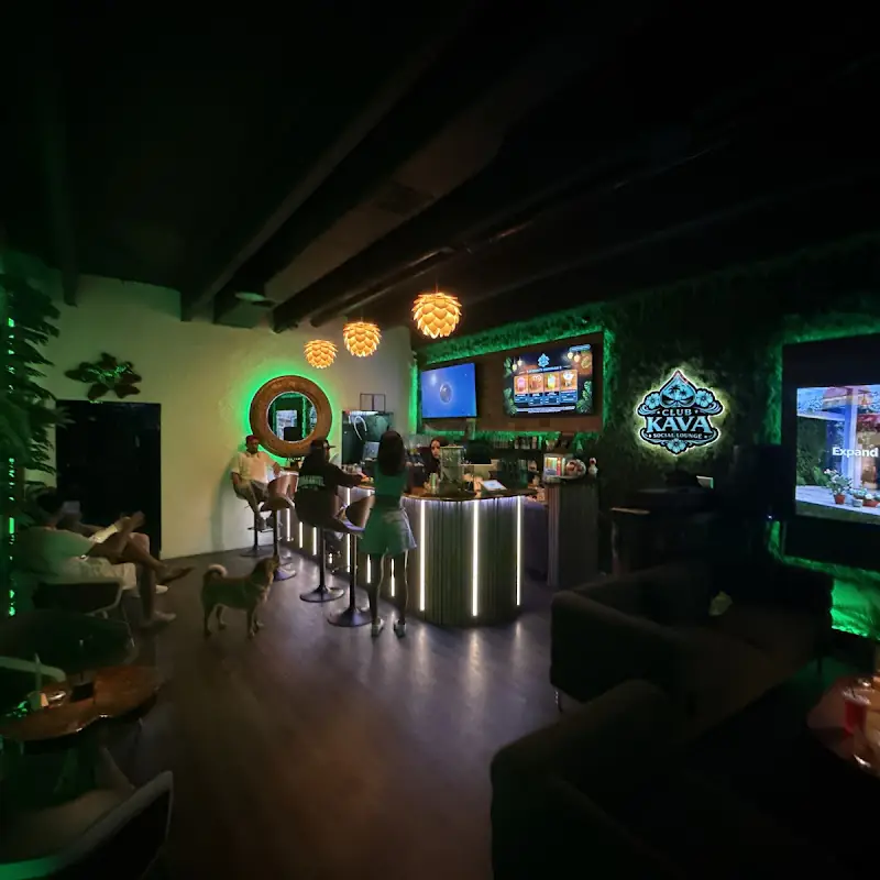 Club Kava | Hollywood