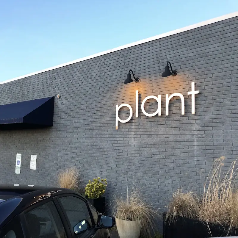 plant