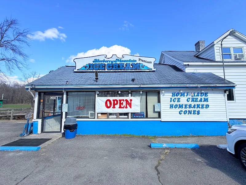 Blueberry Mountain Ice Cream