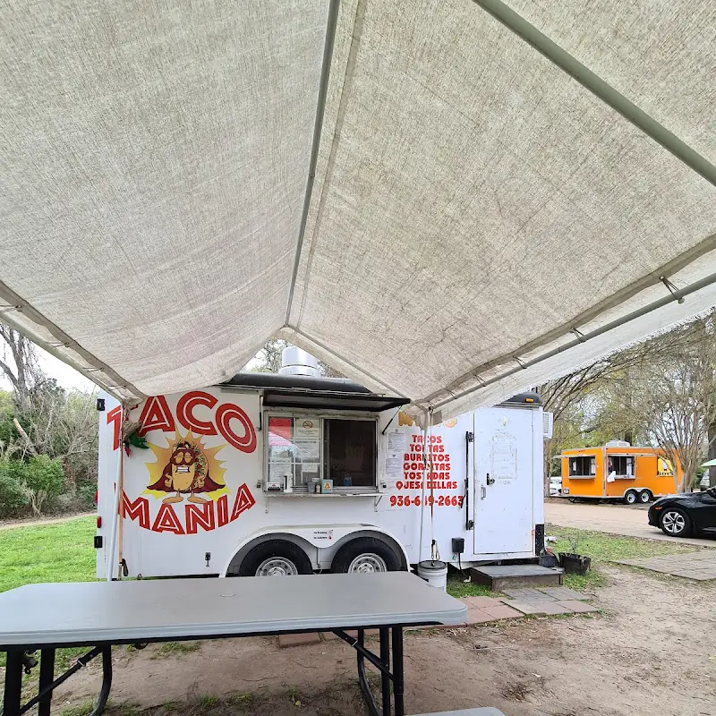 Taco Mania