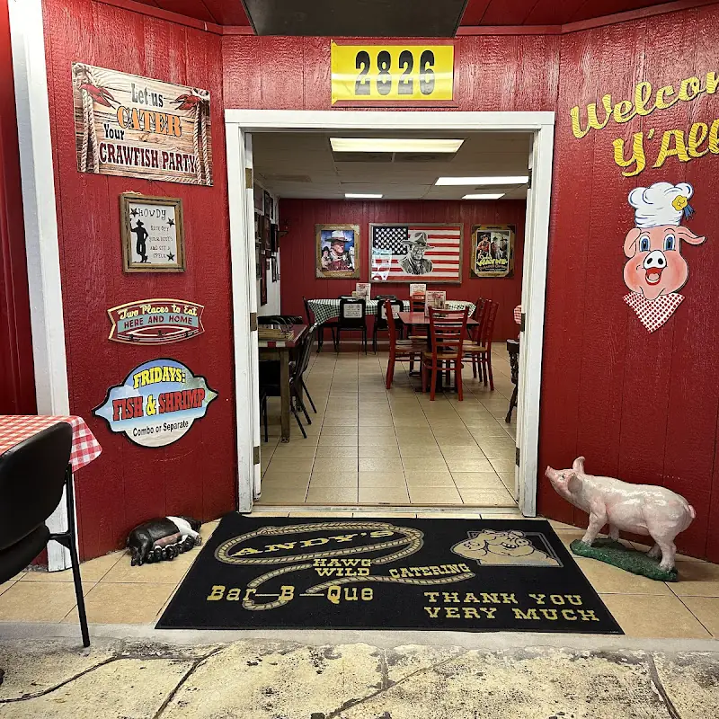 Two-BBQ Meat Sandwich Combo