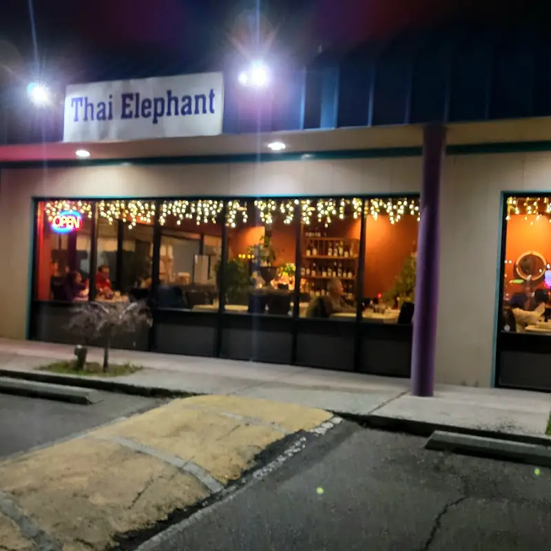 Thai Elephant