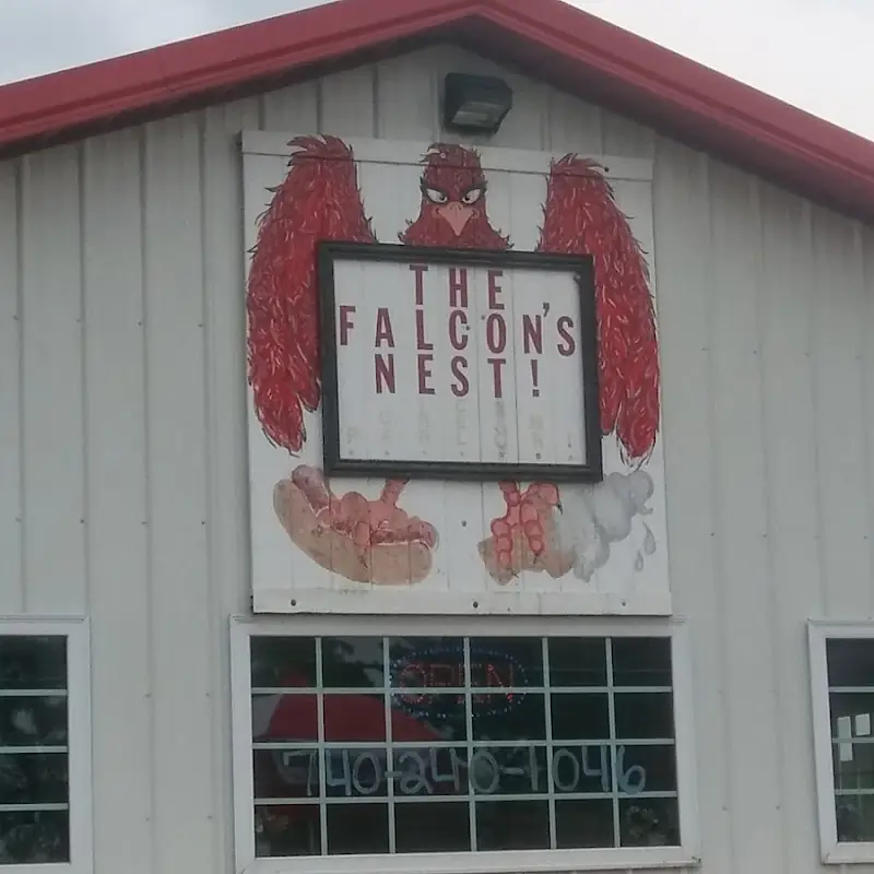 Falcon's Nest