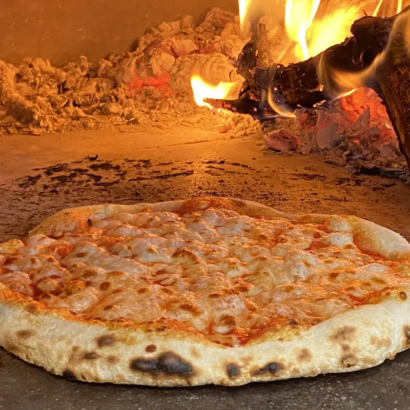 Hungry Bird Pizza