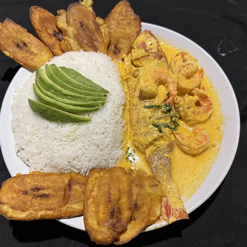 Arroz / Rice