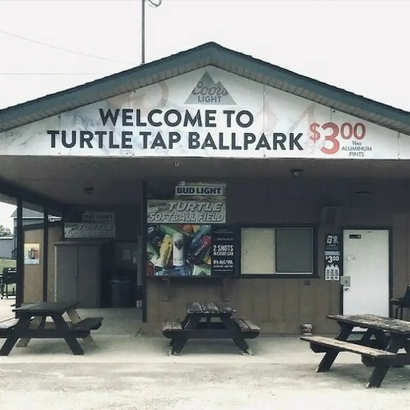 Turtle Tap
