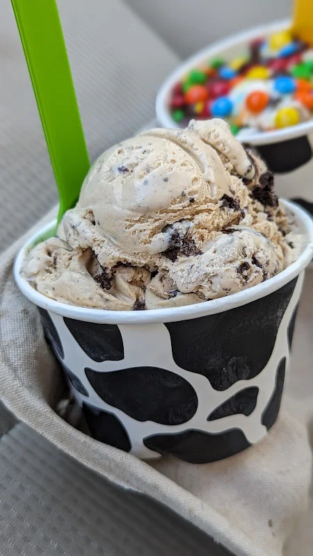 Flint Farm Ice Cream