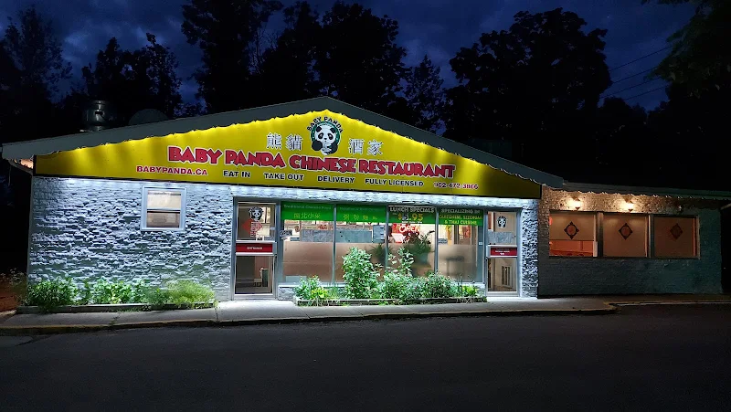 Baby Panda