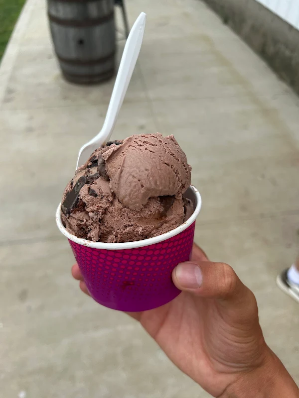 Colbie's Cones