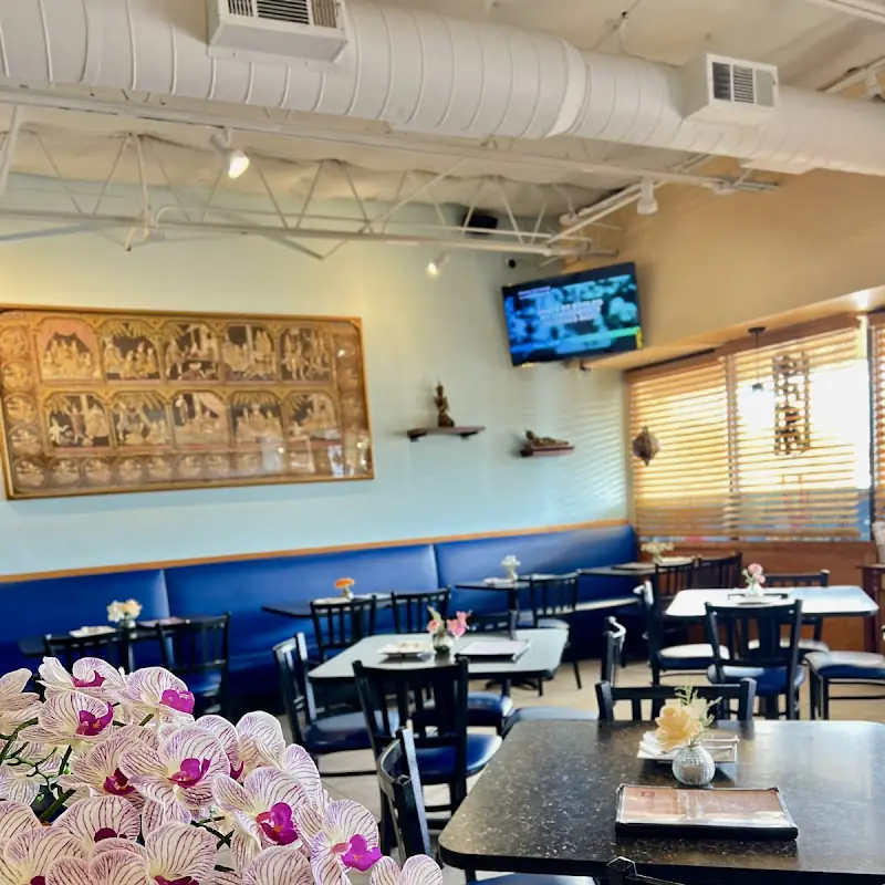 Taste of Thai Plano 3205