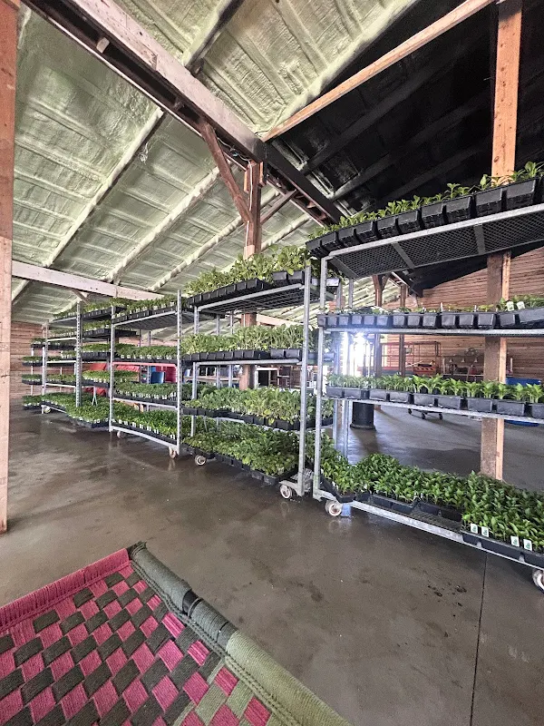 Balle Balle Heritage Farms