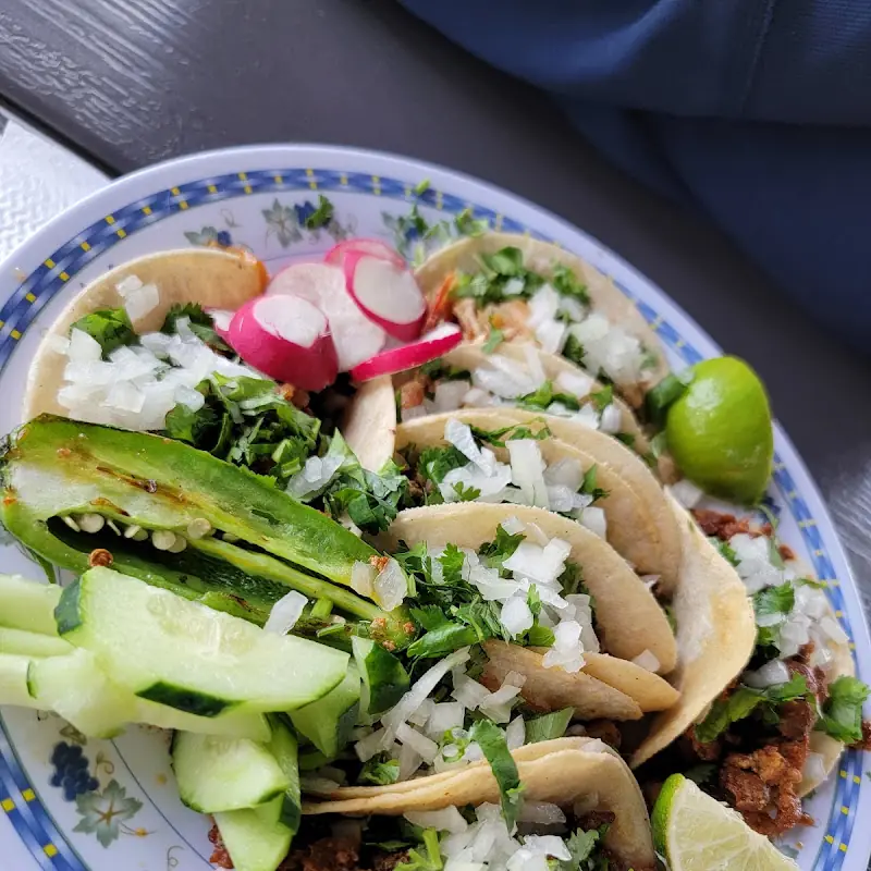 Taqueria Guerrero Food Truck