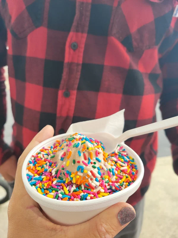 Zesto Ice Cream
