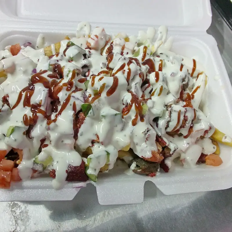 Fusion gyro (Halal food)
