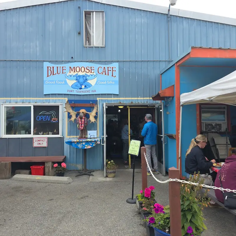 Blue Moose Cafe
