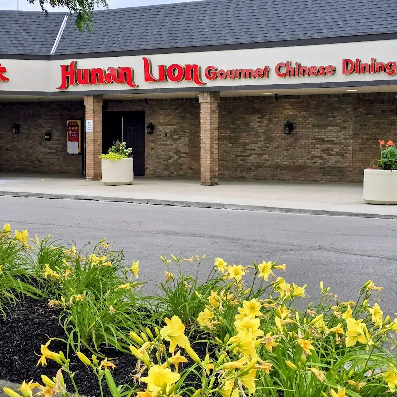 Hunan Lion