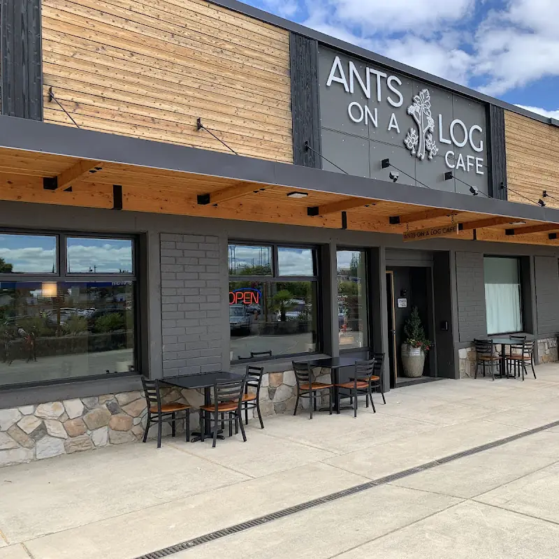 Ants on a Log Cafe