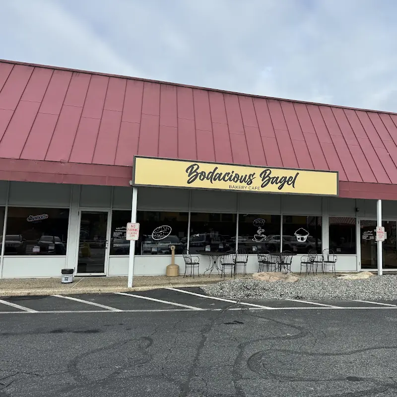 Bodacious Bagel Inc