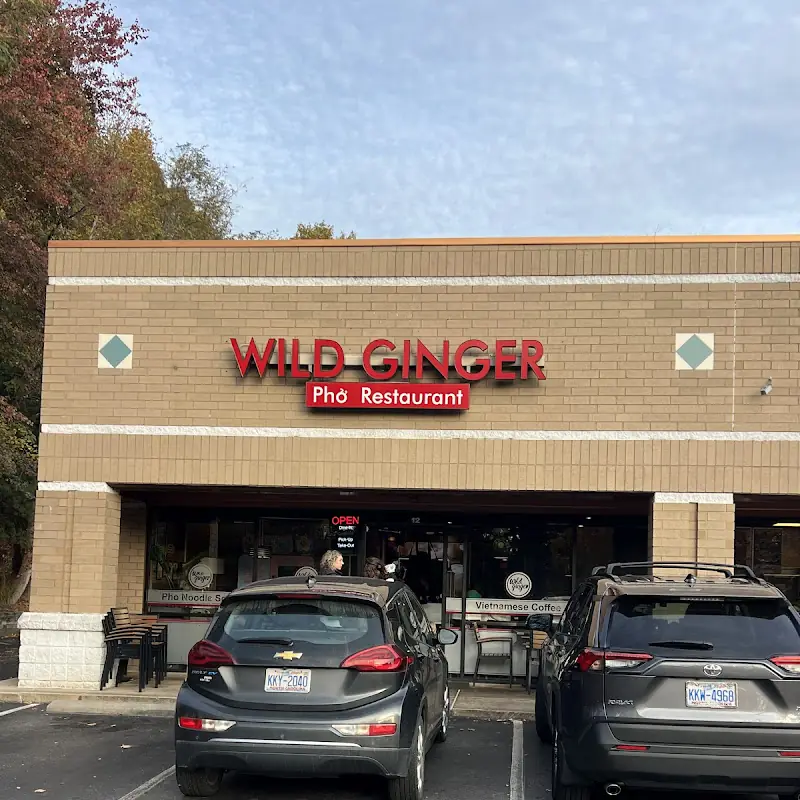 Wild Ginger Noodle Bar