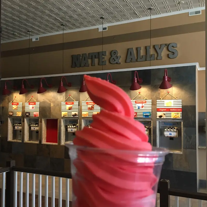 Nate and Ally's Frozen Treat Creations