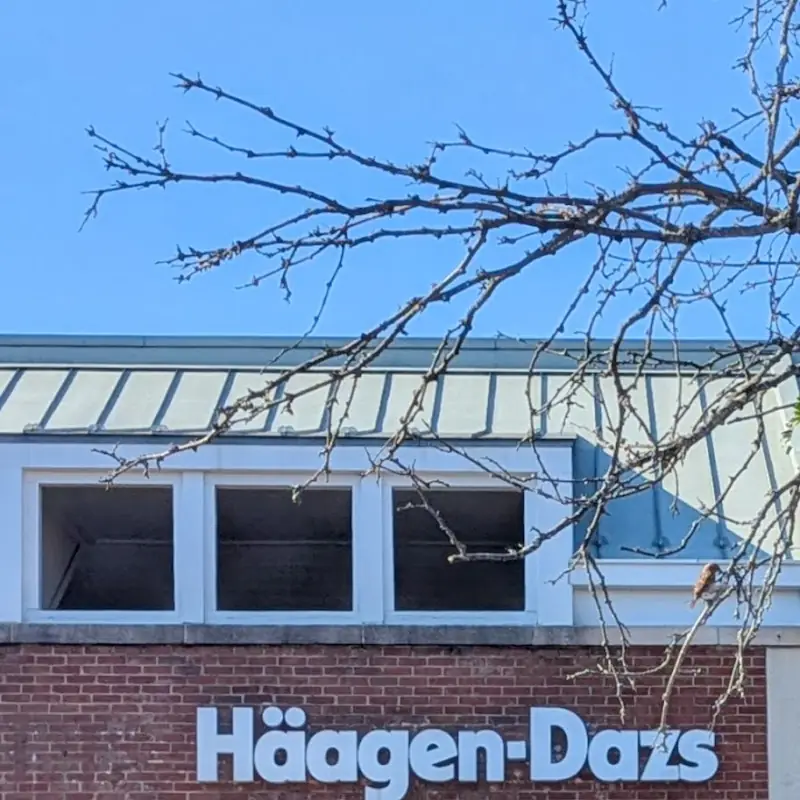 Häagen-Dazs
