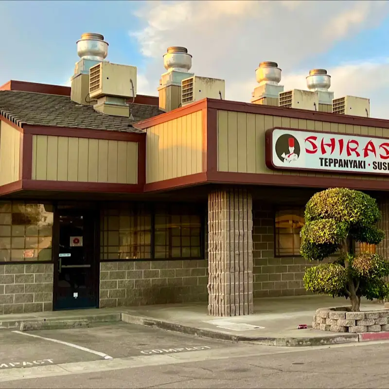 Shirasoni Japanese Restaurant