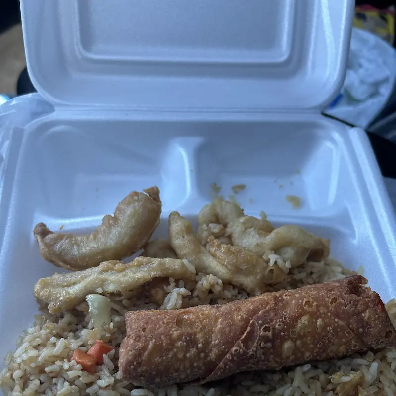 Spring Roll (2)