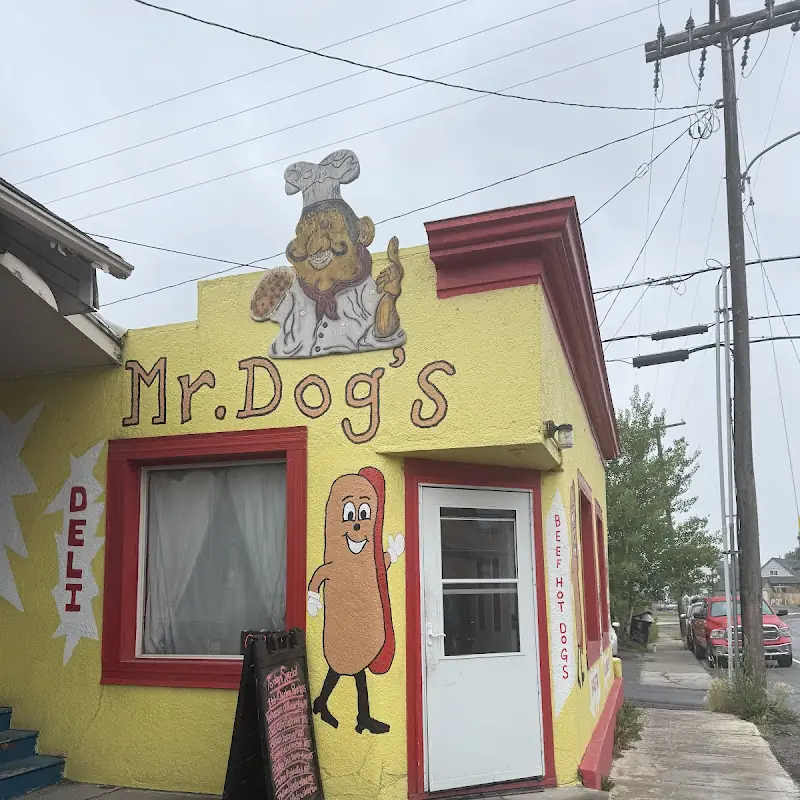 Mr. Hot Dogs