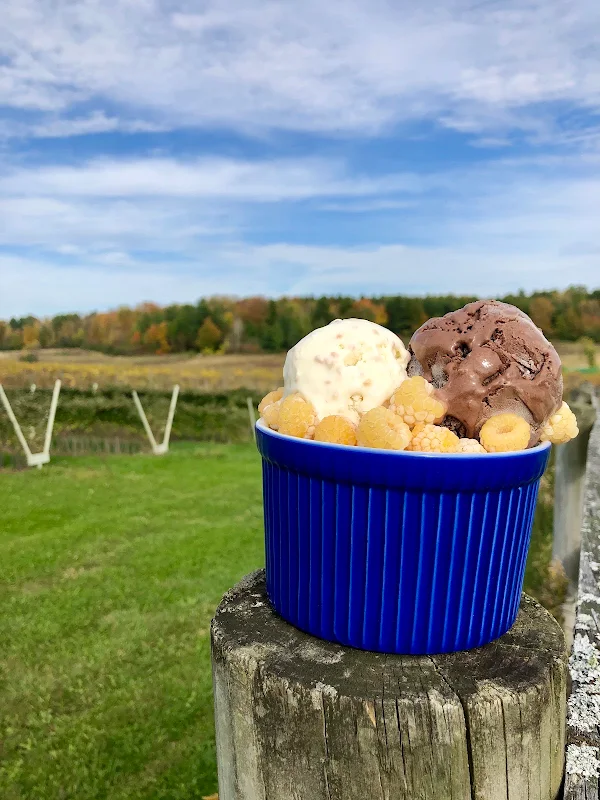 Sisters of Anarchy Ice Cream
