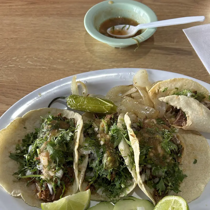 Fajita Quesadilla de Carne / Meat Fajita Quesadilla