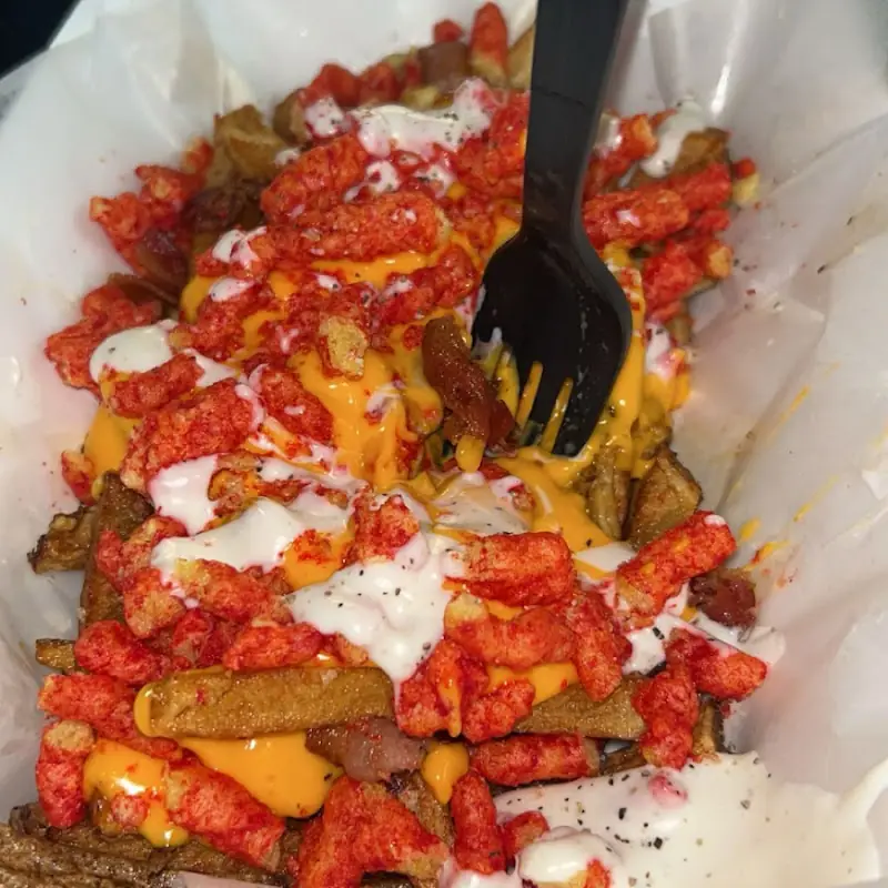 Gyro Cheese Fries