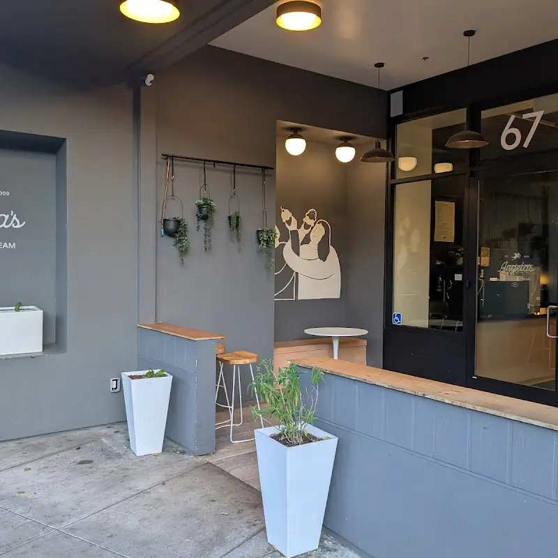 Angela's Organic Ice Cream