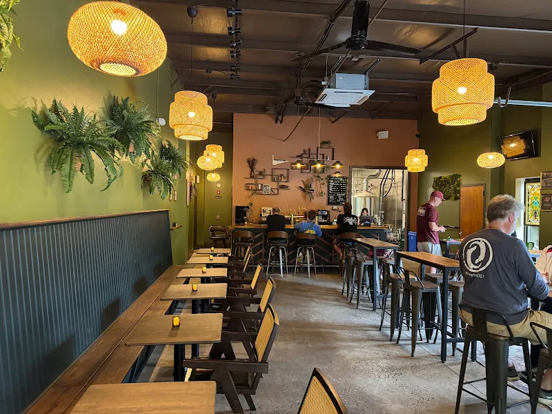 Wild Fern Brewing