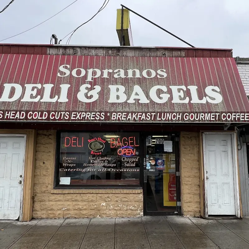 Plain Bagel