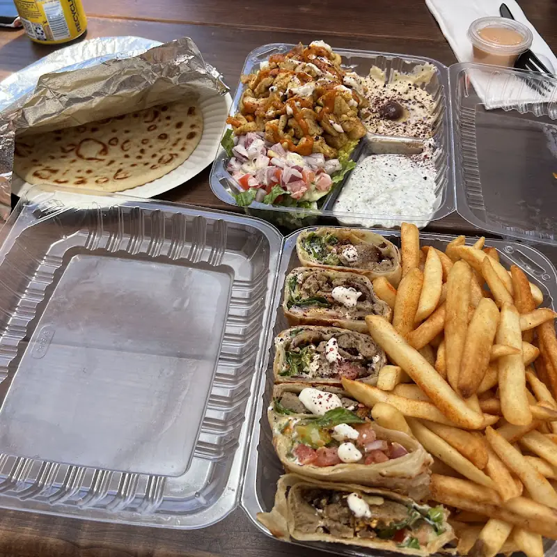 Meso Gyro