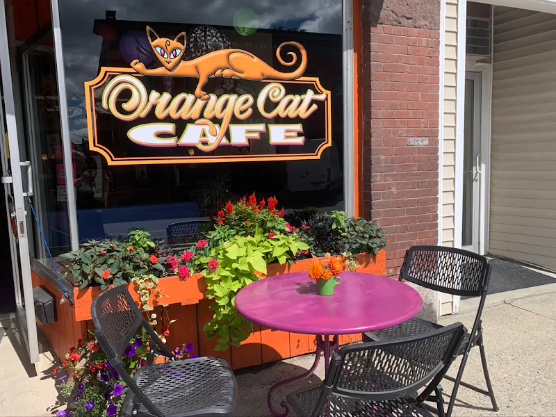 Orange Cat Cafe