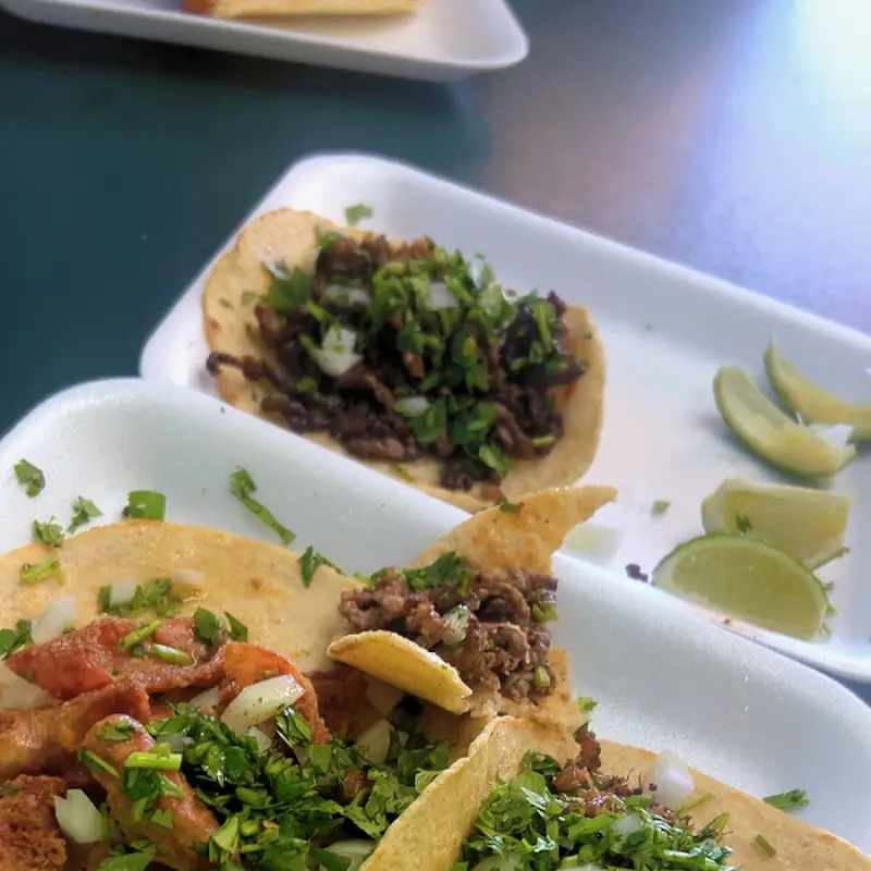 Los tacos mas frescos de arizona