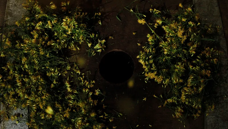 The Seed: A Living Beer Project