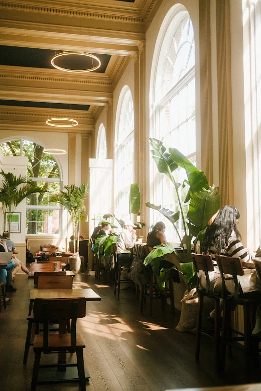 Odyssey Coffee