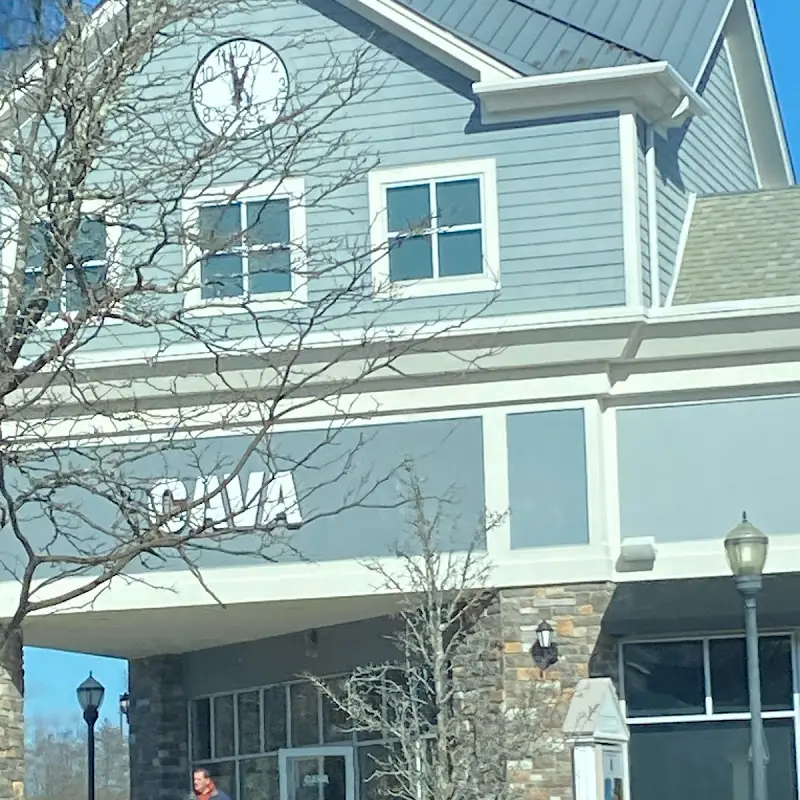 CAVA
