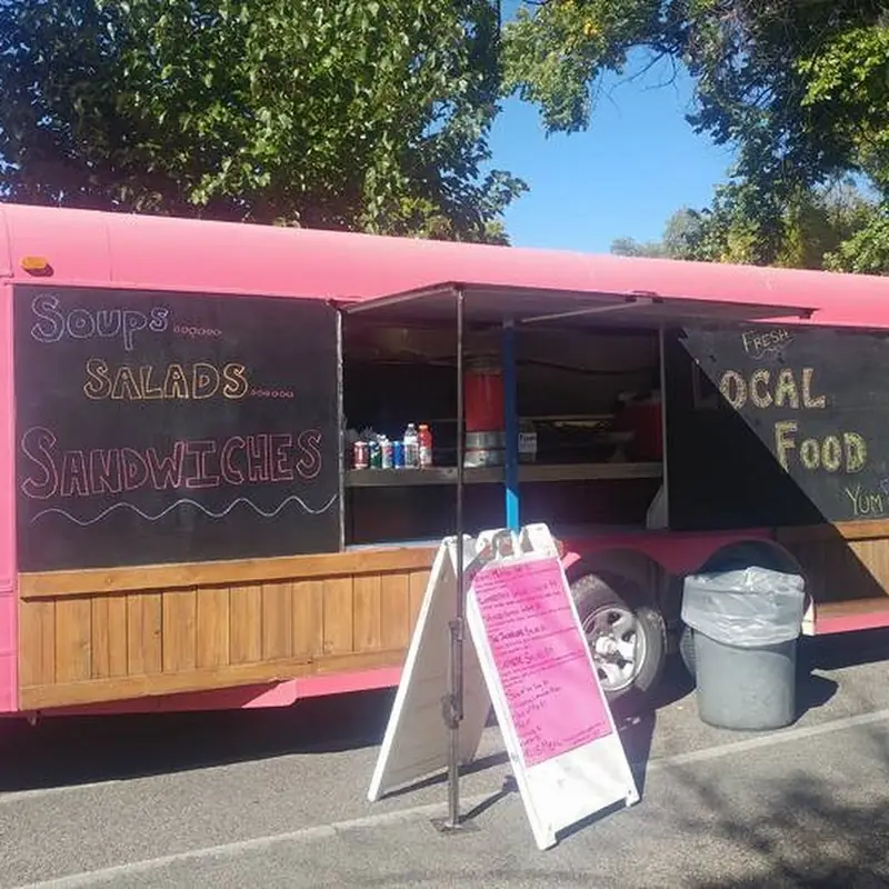 The Little Pink Truck