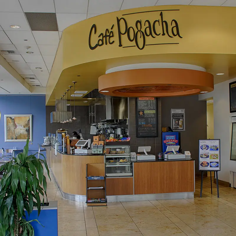 Freshly Baked Chocolate Chip Cookie