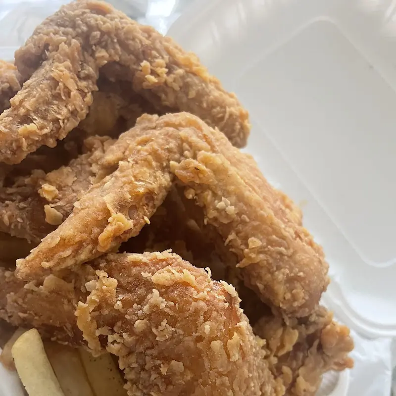 9. Fried Wonton (12)