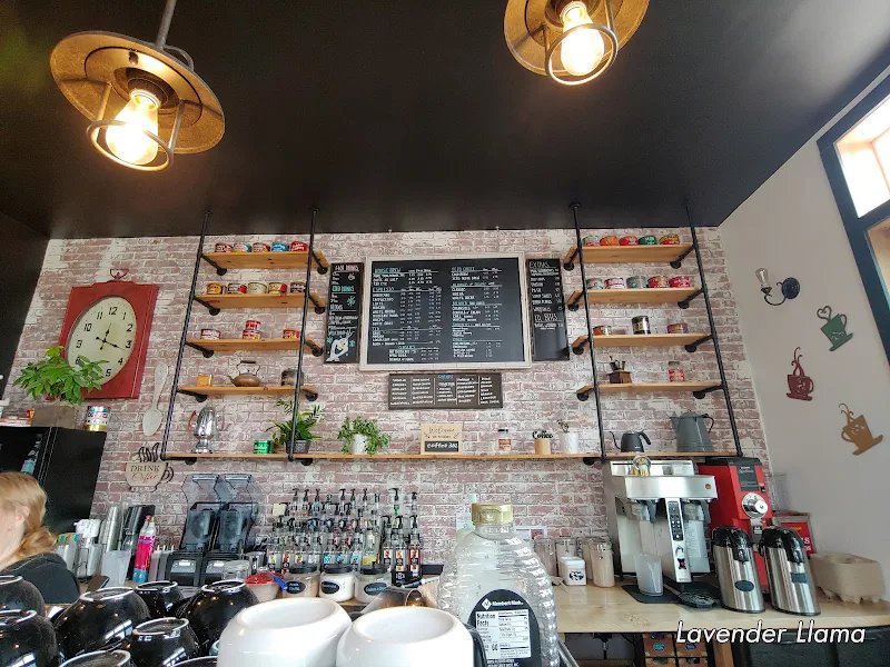 Wild Blue Coffee Co.
